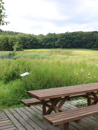 Wandertouren (© mht.sh) Rastplatz im Grünen