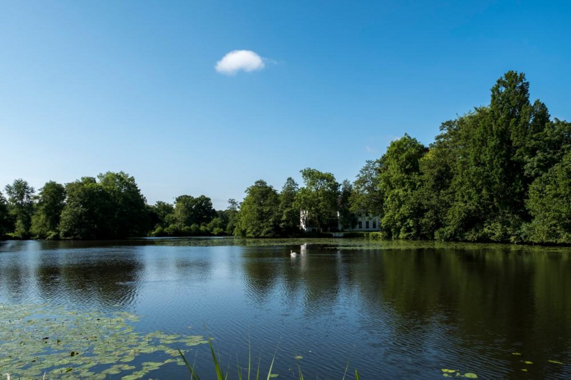 Gut Hanerau Mühlenteich Hanerau-Hademarschen